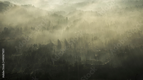 Foggy and misty background with ray of light sunlight, silhouette abstract