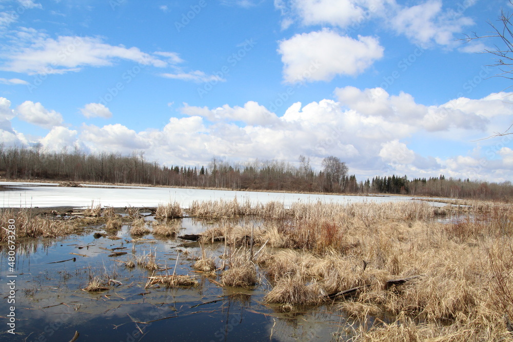 Melting Wetlands, Elk Island National Park, Alberta Melting Wetlands, Elk Island National Park, Alberta