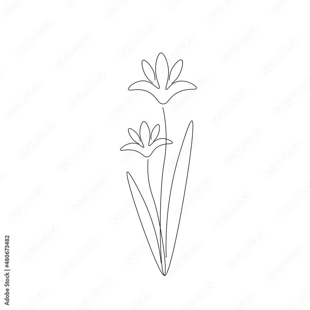 Obraz premium Flowers on white background vector illustration