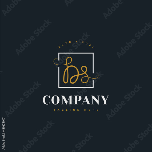 D and S Initial Logo Design with Elegant Handwriting Style. DS Signature Logo or Symbol for Wedding, Fashion, Jewelry, Boutique, Botanical, Floral and Business Identity