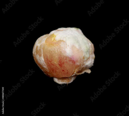 Garlic in mold isolated on black background.