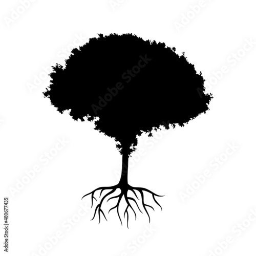 Tree of life logo design isolated on white background