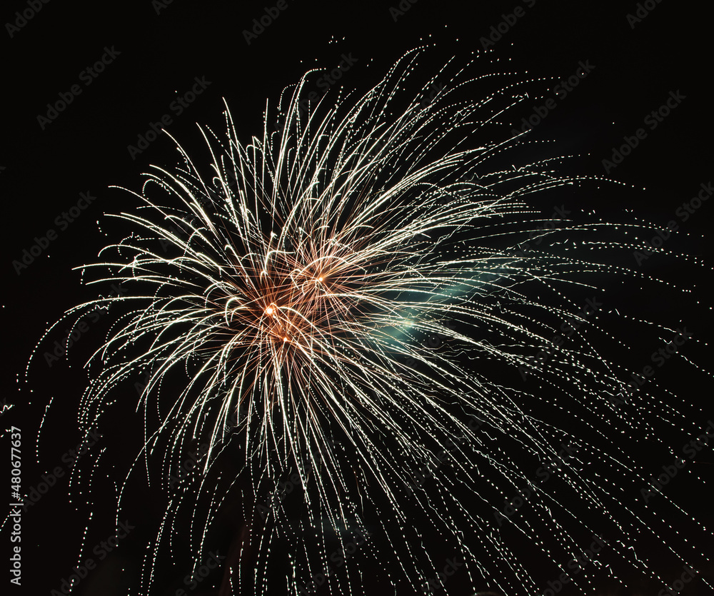 Obraz premium Fireworks in the black sky.