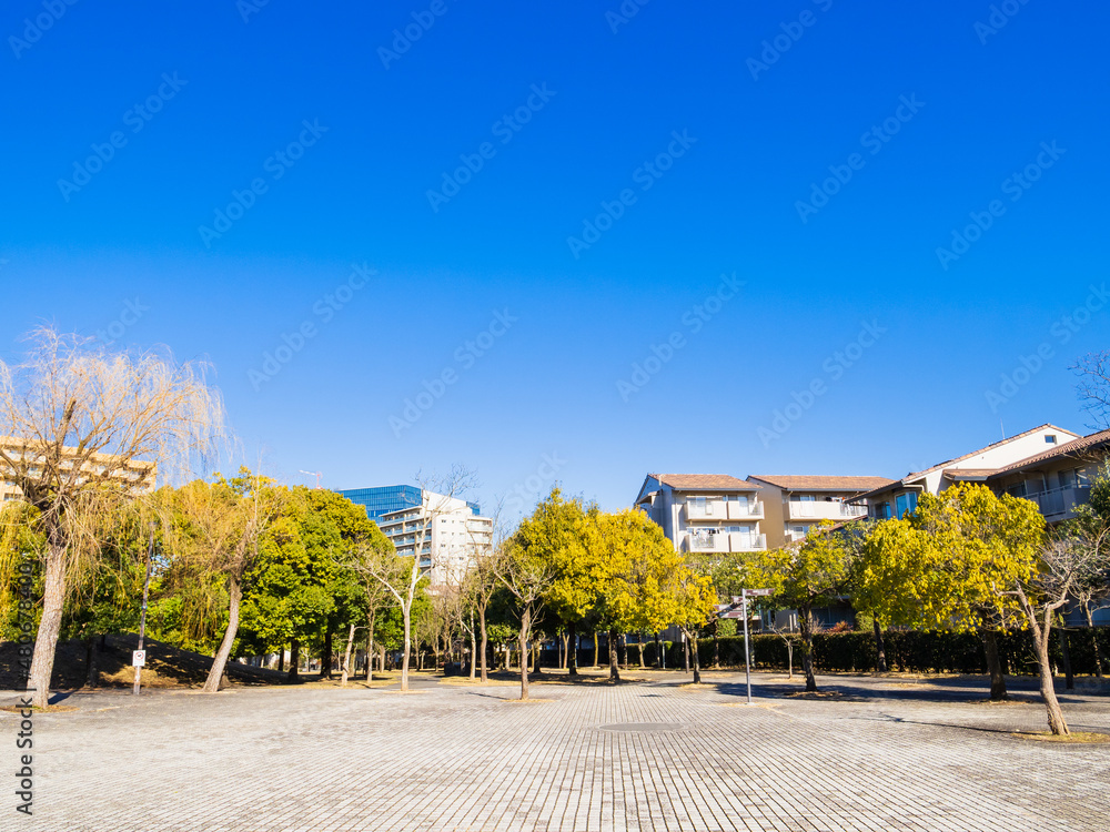 Fototapeta premium 郊外の住宅地 冬景