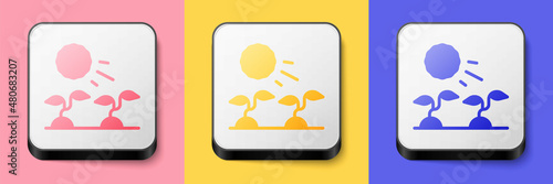 Isometric Plant sprouts grow in the sun icon isolated on pink, yellow and blue background. Seedling concept. Square button. Vector