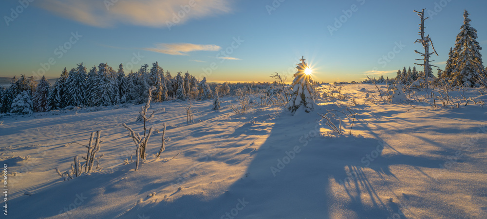 Stunning panorama of snowy landscape in winter in Black Forest - Snow view winter wonderland snowscape sunset in the evening background banner