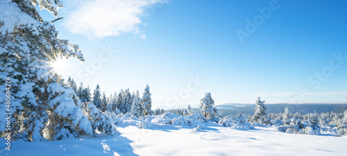 Stunning panorama of snowy landscape in winter in Black Forest - Snow view winter wonderland snowscape background banner with blue sky and sunshine..