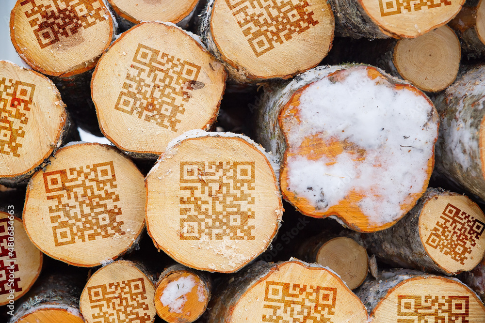 Signs imitating a QR code are drawn on a pile of harvested wood. The concept of wood accounting during harvesting. Accounting for timber in the EGAI system. Signs imitating a QR code are drawn on a pile of harvested wood. The concept of wood accounting during harvesting. Accounting for timber in the EGAI system.