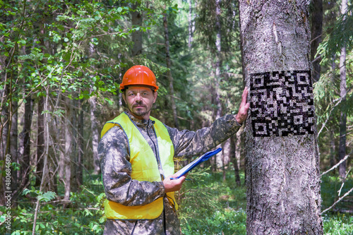 Forest engineer works in the forest. The tree has a simulated image of a QR code. The concept of timber accounting in forestry in the EGAIS system.