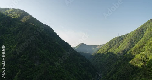 Time lapse of deep forests in Japan