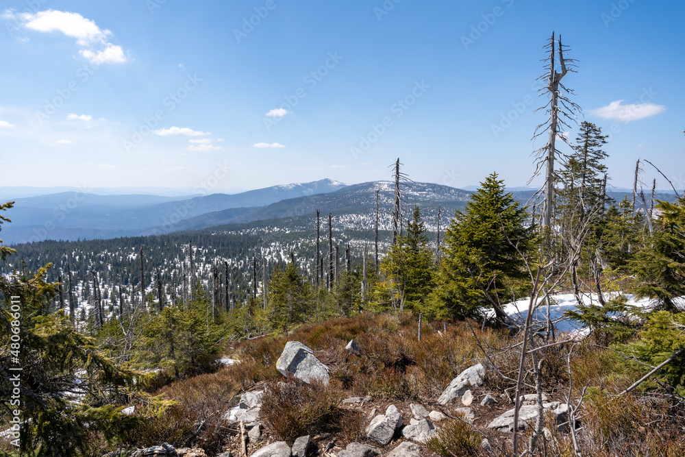 Wanderung auf den Lusen im Bayerischen Wald Wanderung auf den Lusen im Bayerischen Wald