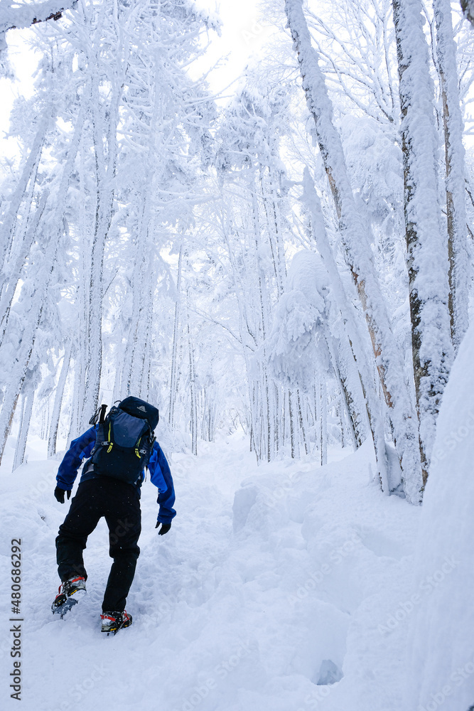 冬山の景色 冬山の景色
