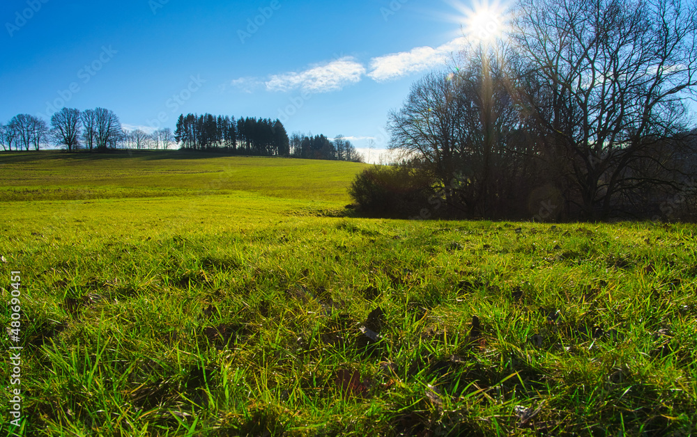 Obraz premium Klimaneutral in die Zukunft - Net Zero 2050