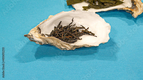 Himanthalia elongata seaweed or sea noodles on oyster shells photo