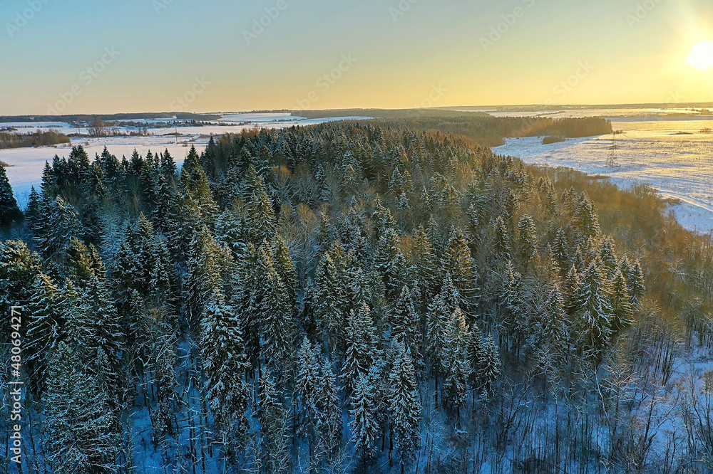 trees frost drone, abstract view background december landscape outdoor trees snow trees frost drone, abstract view background december landscape outdoor trees snow