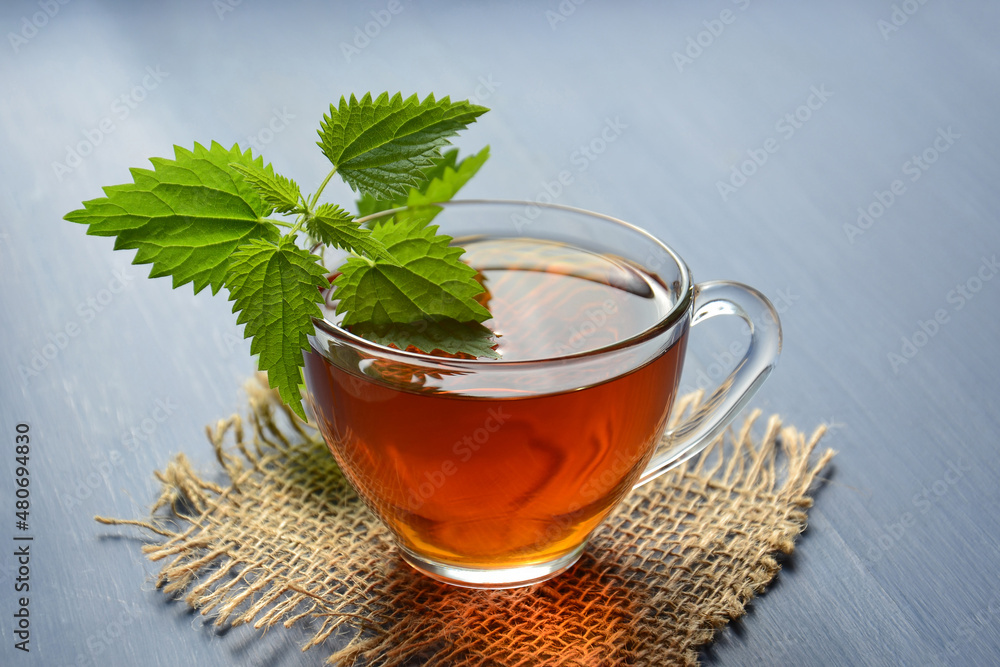 Nettle tea in a transparent cup Nettle tea in a transparent cup
