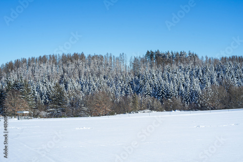 Wallpaper Mural Winter landscape near the german village called Bromskirchen Torontodigital.ca