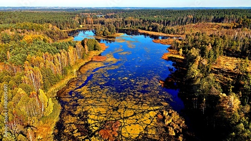 View from the drone on Lake Komosa on a sunny day among the forests of Podlasie.