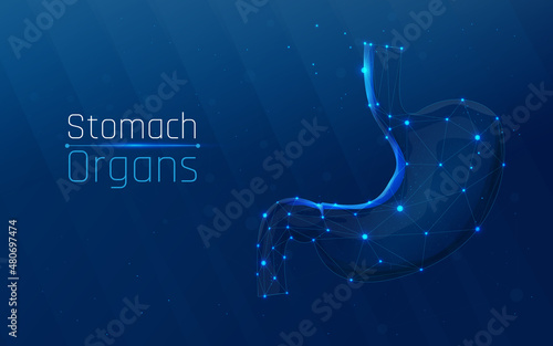 Abstract mash line and point human healthy stomach. Low poly health care vector illustration. plexus, wireframe style. medicine
