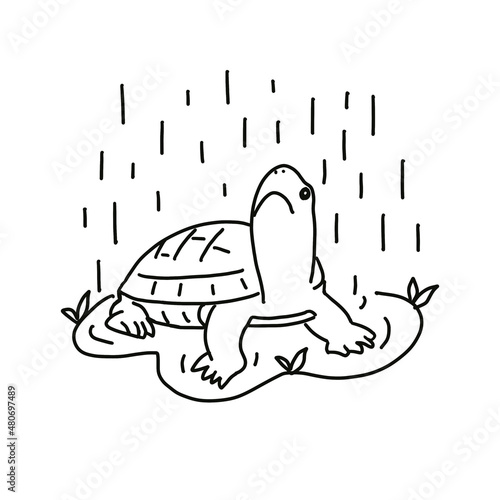 lineart  style turtle and rain