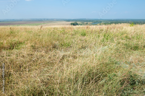 Fototapeta Naklejka Na Ścianę i Meble -  Dry grass at the edge of the hill