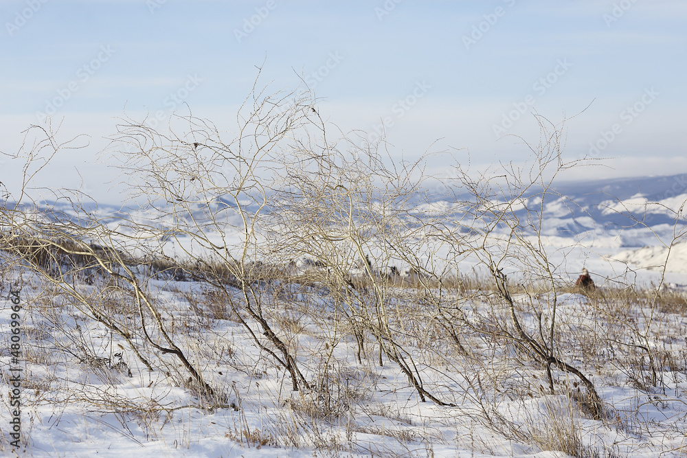 winter landscape olkhon island, lake baikal travel russia winter landscape olkhon island, lake baikal travel russia