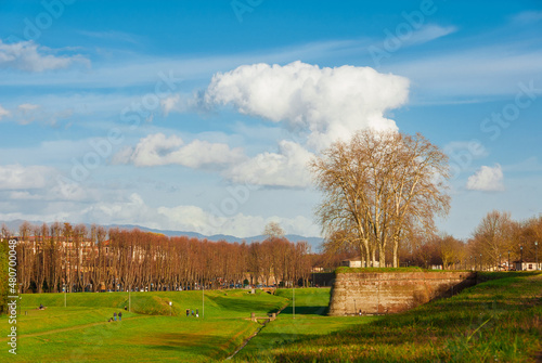 Winter in Lucca. Anciet walls public park with bare tree branches near St Fredianus bulwark