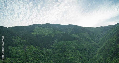 Time lapse of deep forests in Japan