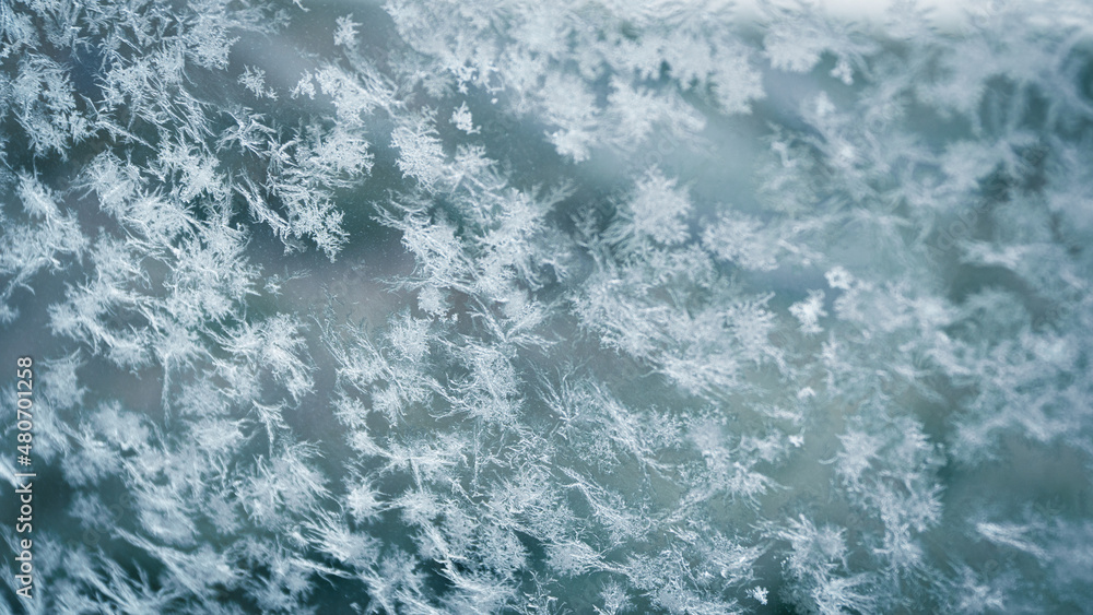 Fototapeta premium snow crystal in winter