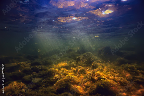 Fotografering sun rays under water landscape, seascape fresh water river diving