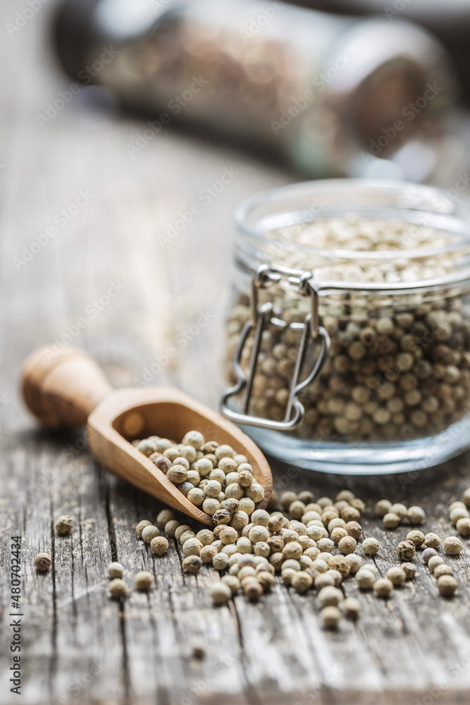 Whole pepper spice. White peppercorn grain in wooden scoop Whole pepper spice. White peppercorn grain in wooden scoop