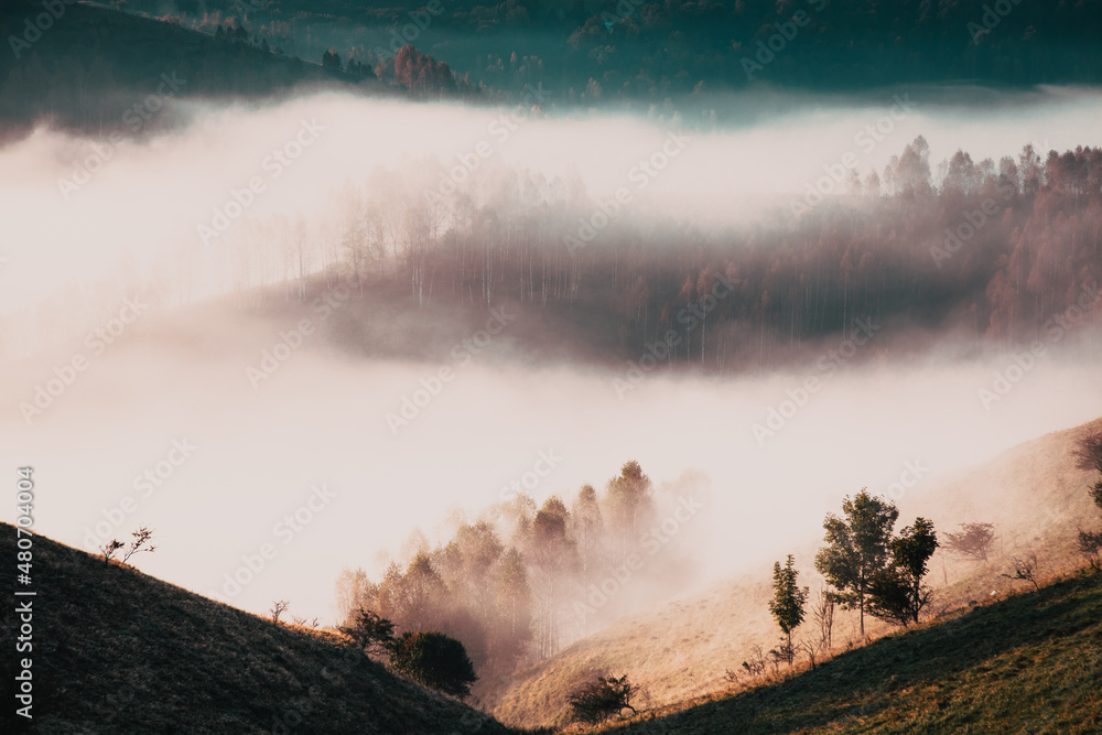 rural early morning landscape with fog in the mountains