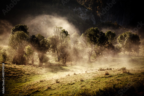 rural early morning landscape with fog in the mountains
