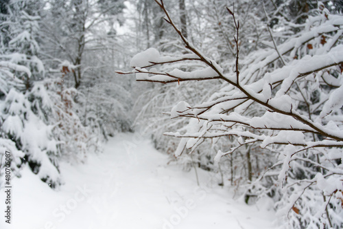 Wanderpfad im Winter am Ochsenkopf, Fichtelgebirge, Oberfranken