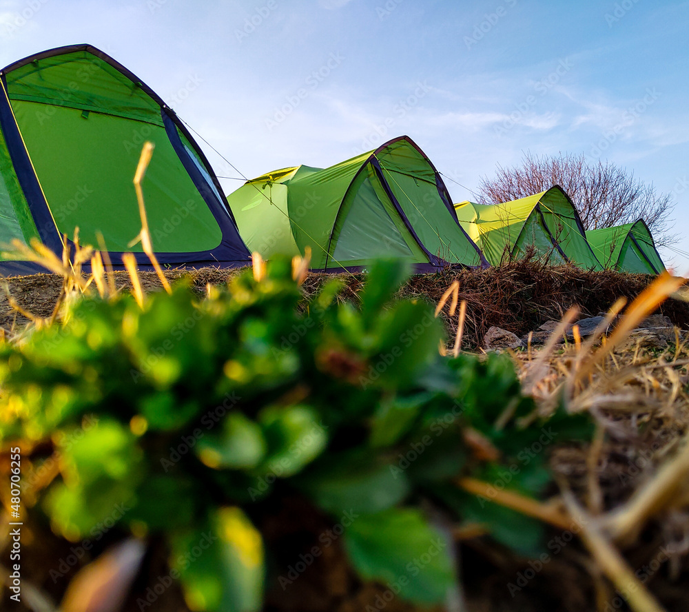 A close up shot of a PUBLIC URINALS board in north INDIA. english