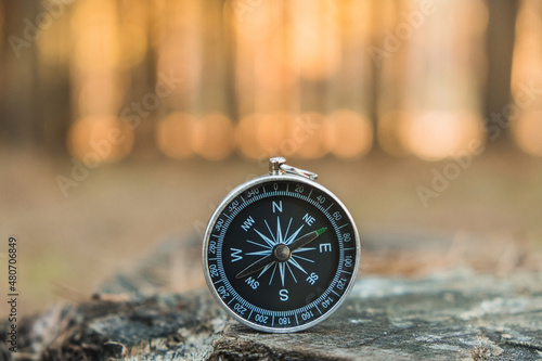 a compass seeking orientation in nature