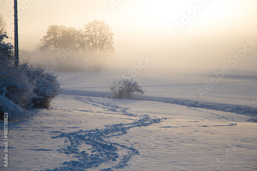sunrise in the fog and snow, winter in Germany