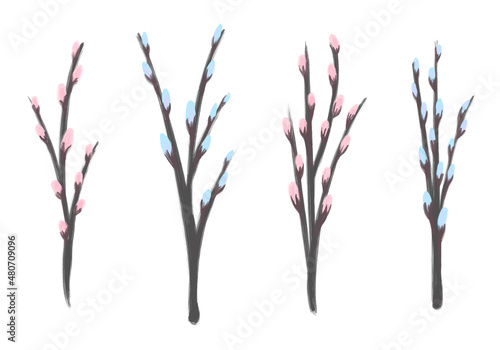 Set with Pussy willow branches for greeting cards, posters, banners, packaging, wedding cards. Vector illustration.