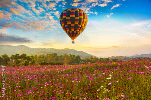 Color balloon over Beautiful Cosmos Flower in park