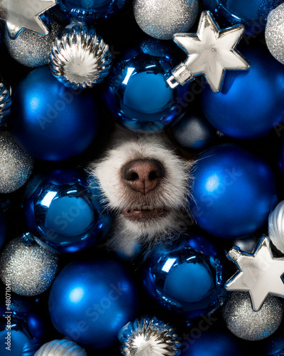 blue christmas balls with dog nose