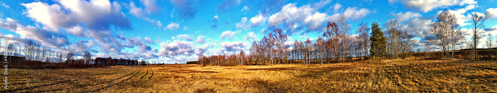 Panorama.View of the frozen Narew River and its surroundings. Panorama.View of the frozen Narew River and its surroundings.