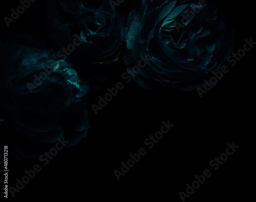 Beautiful abstract black blue flowers on black background, light purple flower frame, blue leaves texture, dark background, flowers for Christmas and valentines day, love theme blue leaves texture