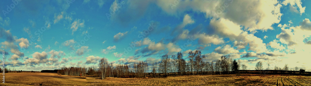 Panorama.View of the frozen Narew River and its surroundings. Panorama.View of the frozen Narew River and its surroundings.