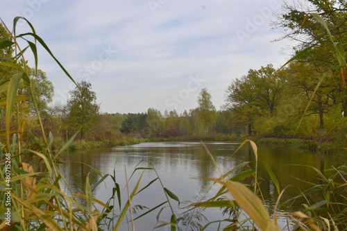 Fototapeta Naklejka Na Ścianę i Meble -  Staw niedaleko Zegrza 9