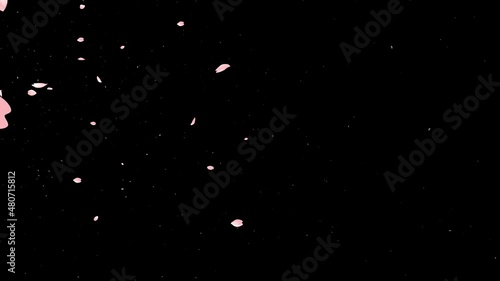 いろんな動きをする桜のような花びら　トランジション　舞う　舞い散る