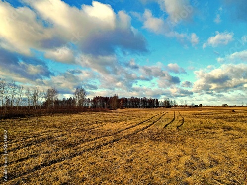 View from the drone on the sunny pre-spring landscape of Podlasie.