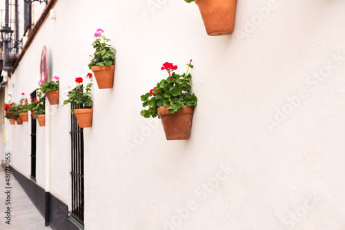 Red flower pots with geranium on white facade © JCDphoto
