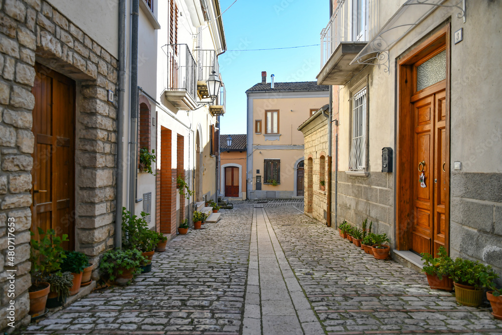 A street among the characteristic houses of Buonalbergo, a mountain village in the province of Benevento, Italy.