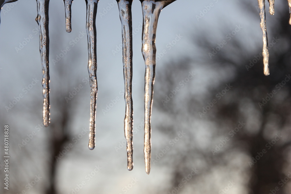transparent icicles let light through transparent icicles let light through