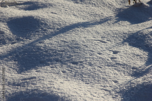 the texture of the packed snow in the light of the sun